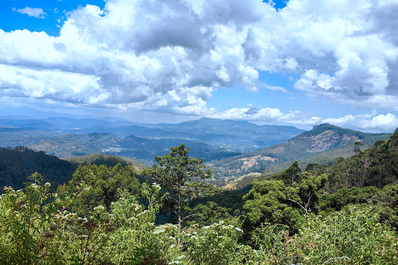 斯里蘭卡- Nuwara Eliya - Ella 高山茶園小火車